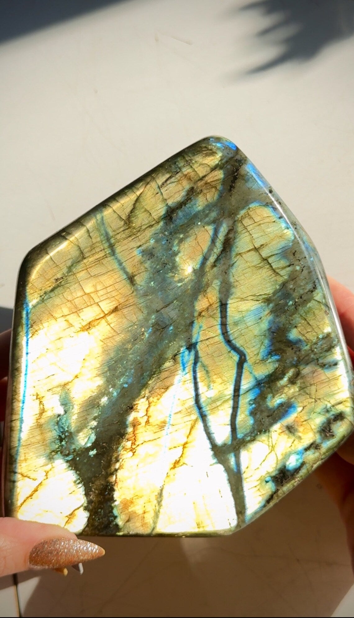 Enormous Golden Rivers Yellow Blue Flash Labradorite Crystal Free Form Peacock Full Face Flash 1600g 14x12x4cm 56.4oz 5.5x4.7x1.6in 21R