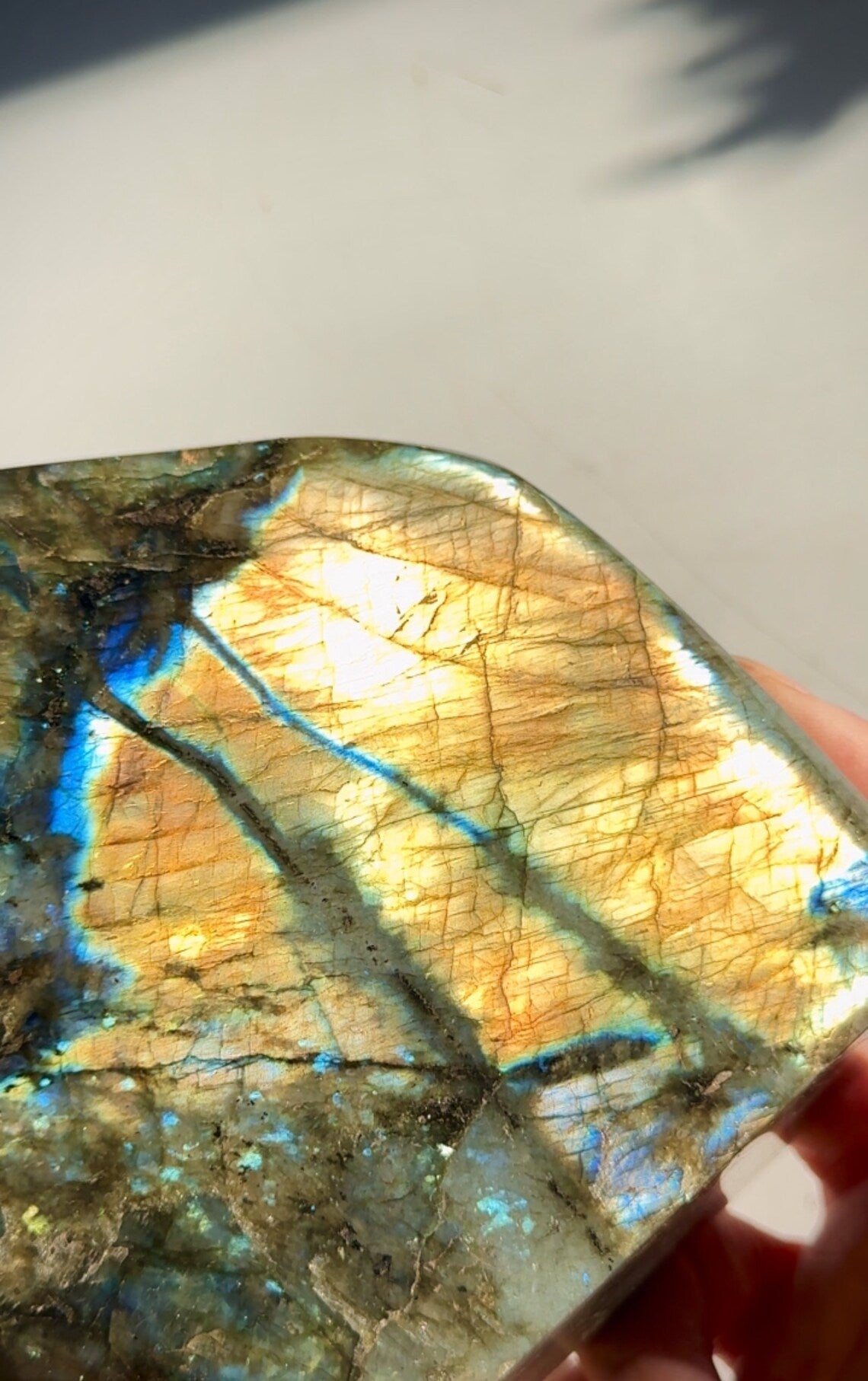 Enormous Golden Rivers Yellow Blue Flash Labradorite Crystal Free Form Peacock Full Face Flash 1600g 14x12x4cm 56.4oz 5.5x4.7x1.6in 21R